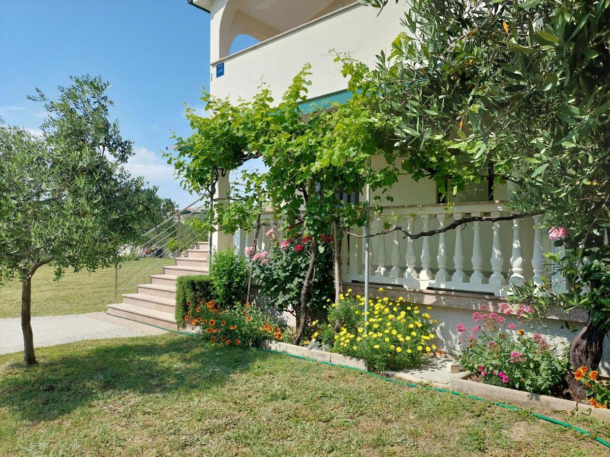 Apartments Vlašići المظهر الخارجي الصورة